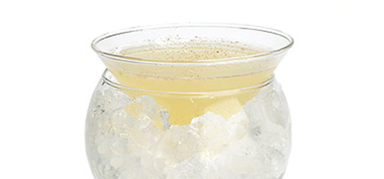 gin-punch